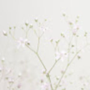 Meet your Posher, Jaimie